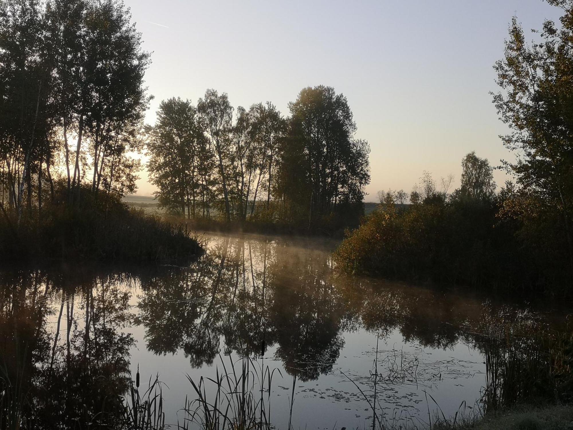 Villa Borowy Zakatek Stara Kiszewa Exterior foto