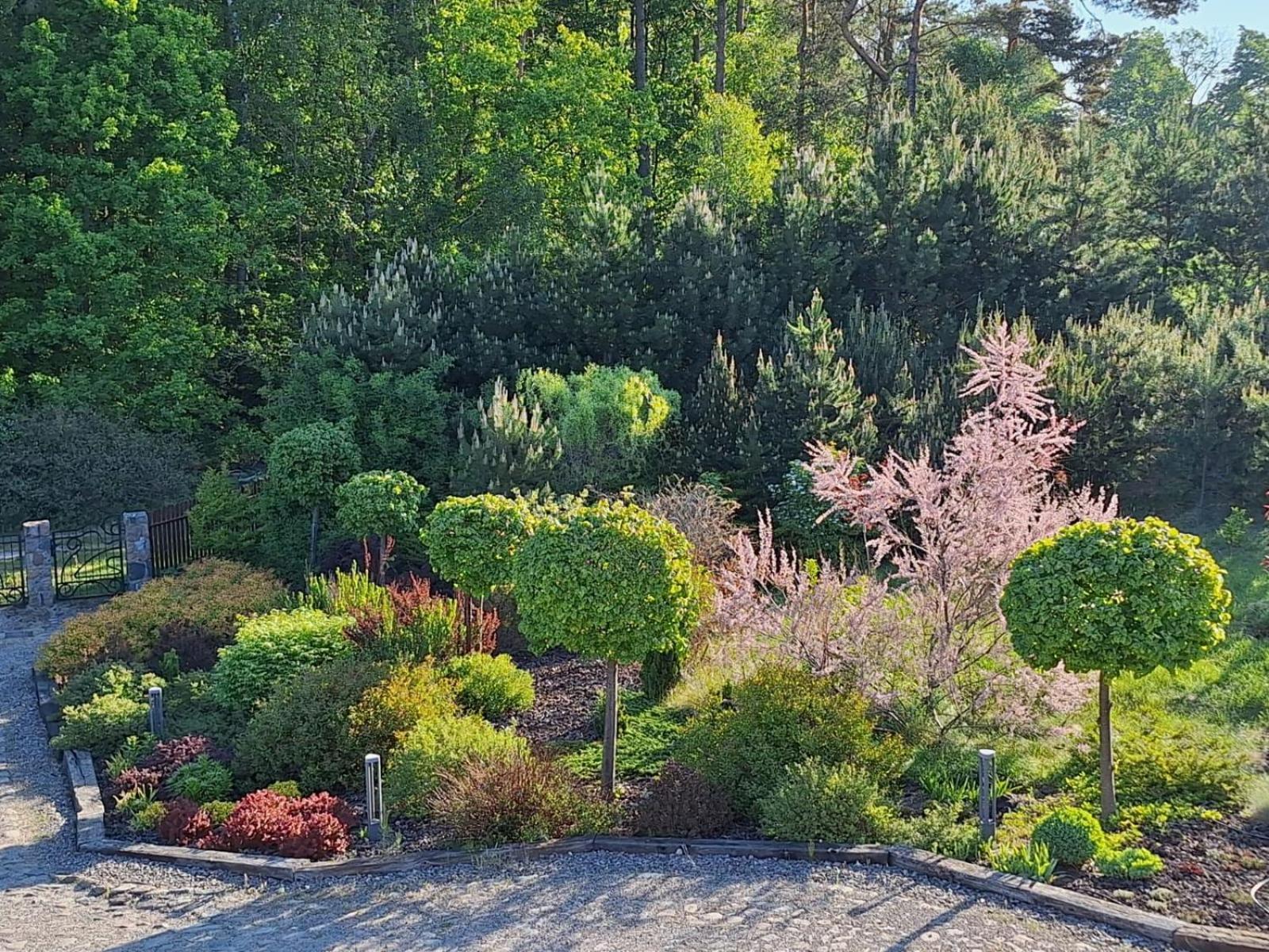 Villa Borowy Zakatek Stara Kiszewa Exterior foto