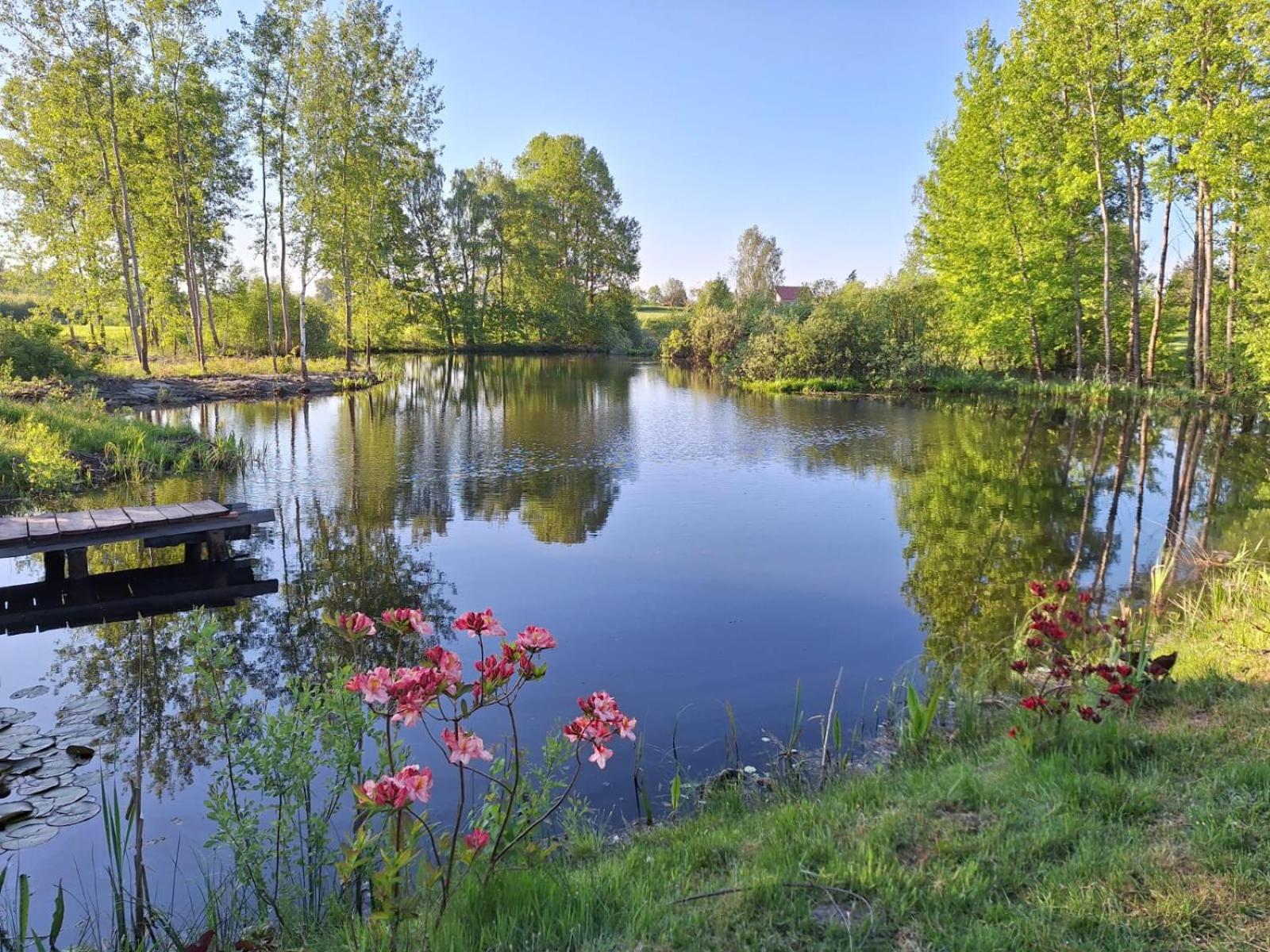 Villa Borowy Zakatek Stara Kiszewa Exterior foto