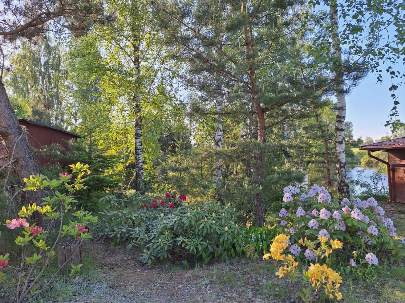 Villa Borowy Zakatek Stara Kiszewa Exterior foto